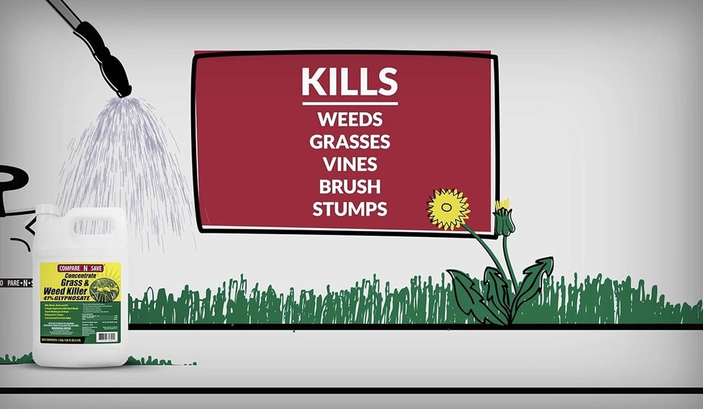 Compare-N-Save 75323 Concentrate Grass and Weed Killer*