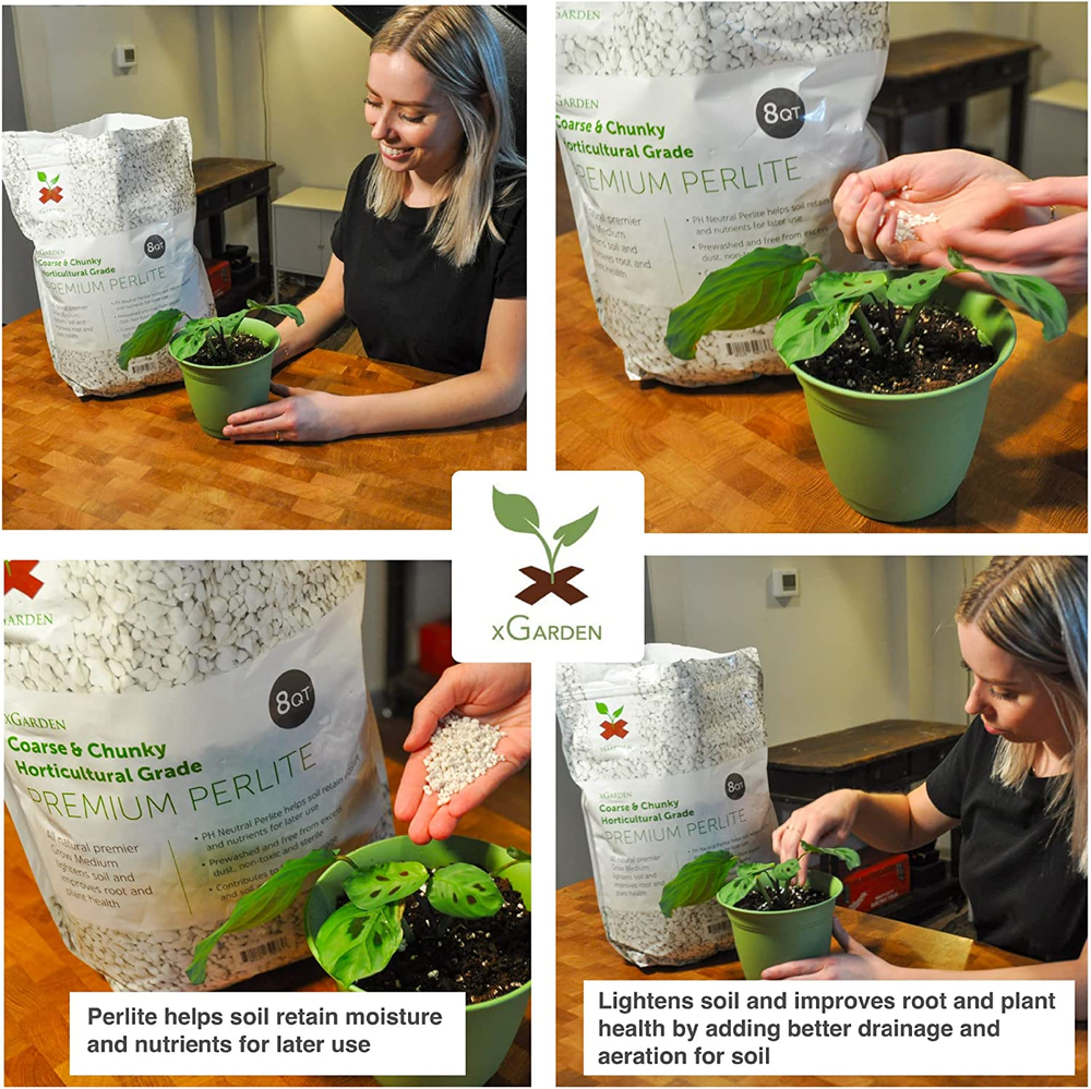 8 Quart Horticultural Grade Perlite, Coarse