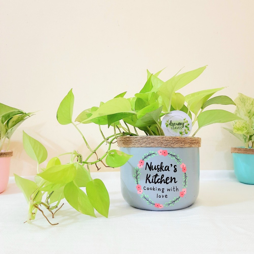 Custom Hand-Painted Planter with Personalized Wording – Kitchen Decor