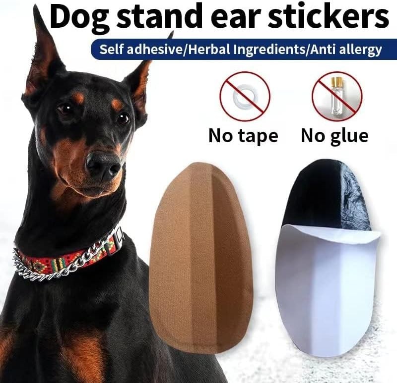 Adjustable Dog Ear Correction Tool - Essential Support for All Dog Breeds