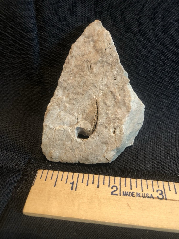 Fossils From West Virginia Mountain