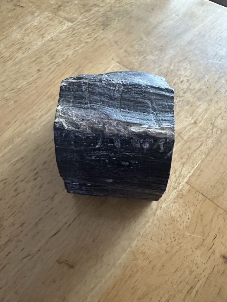 Petrified Wood Slab
