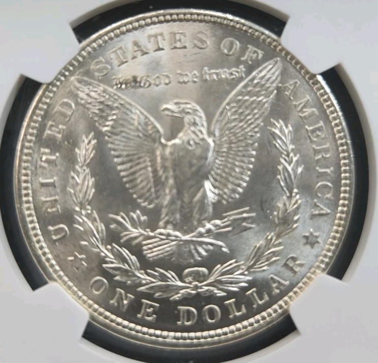 1921-p NGC MS64 Morgan Silver Dollar