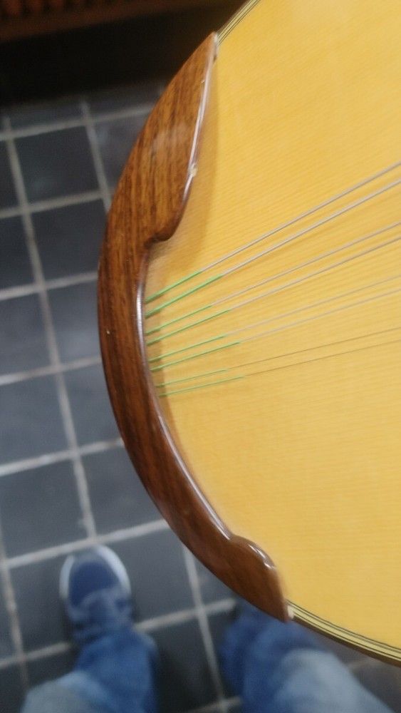 Mandolin ikegaku stringed instrument with case