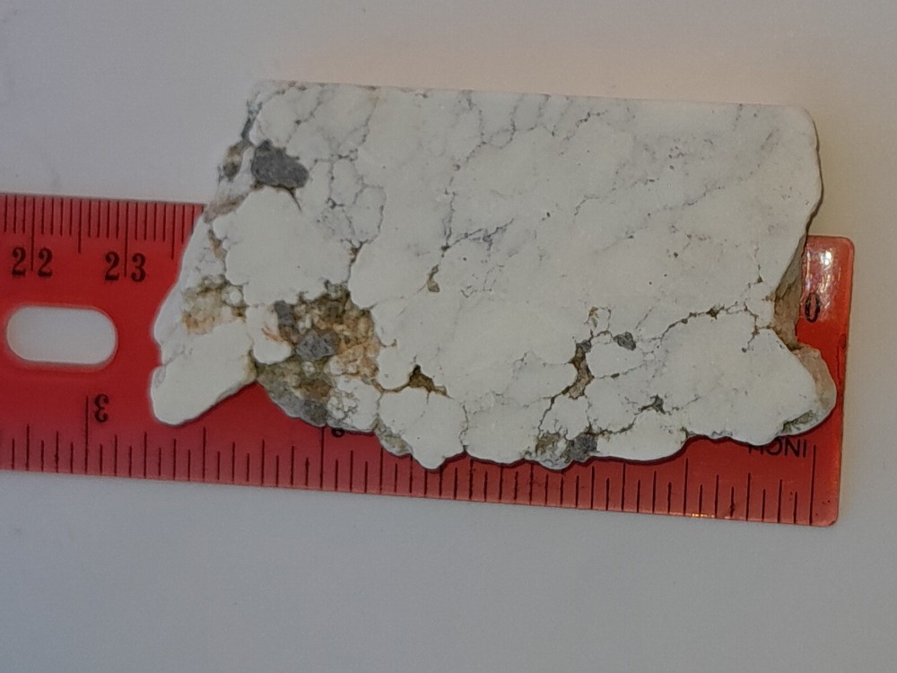 White Howlite Specimen type Slab - 40.2 Gms - Spiderweb - Black - gray - White