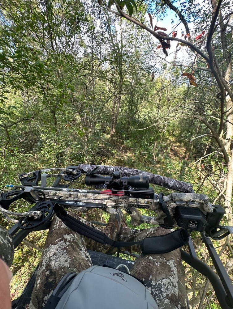 ten point cross bows for sale