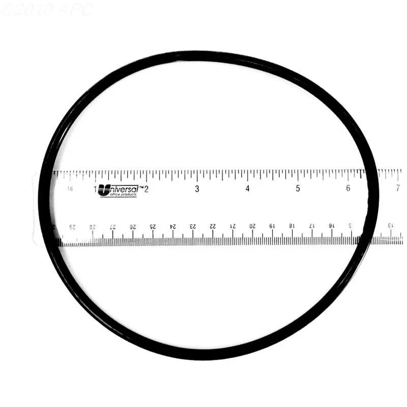 O-Ring, Filter Head