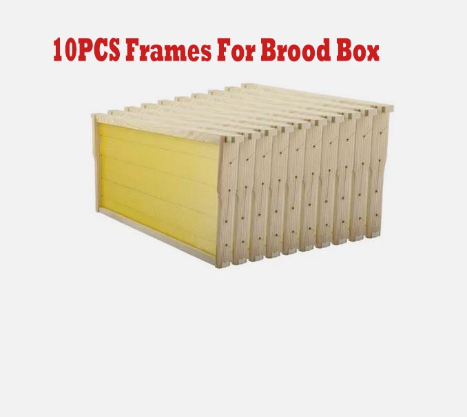10 Assembled Beehive Frames, Coated Beeswax Foundations for Beekeeping