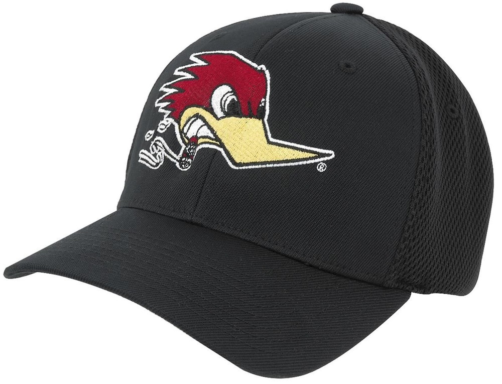 Mr. Horsepower Flexfit Hat H40-S-M