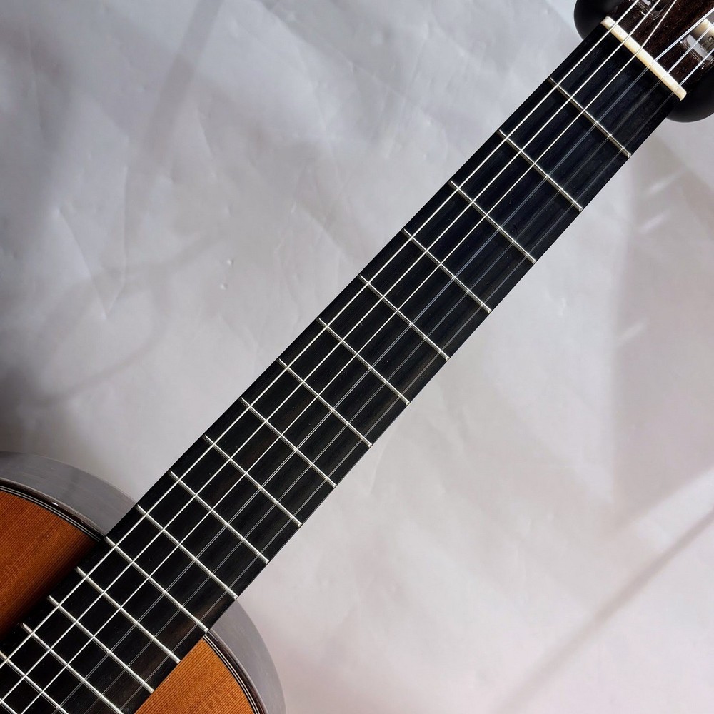 ARIA A-50C (no250807)