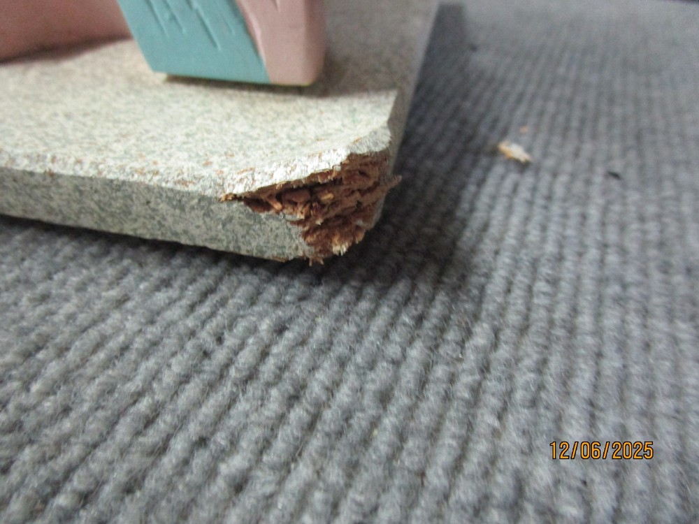 Vintage Nystrom Large Ear Teaching Model