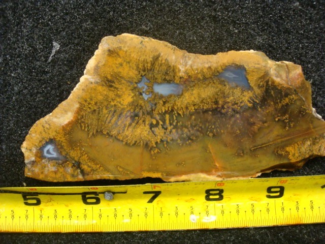 mexican sagenite slabs