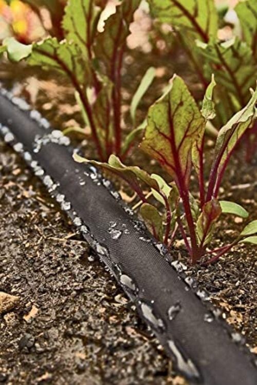 75 Foot Flat Weeper Soaker Hose - Drip Irrigation - Double Layer Design - 2