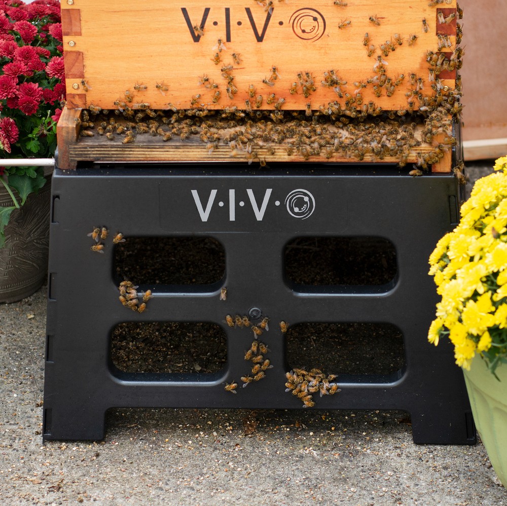 VIVO Black Plastic Bee Hive Stand | Beekeeping Hive Support Tool