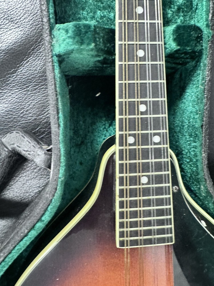 OSCAR SCHMIDT OM 10, Hard Case Great Shape