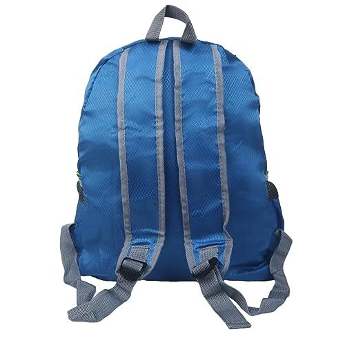 28L Daypack Backpack Packable Foldable Ultra Lightweight Durable for Blue
