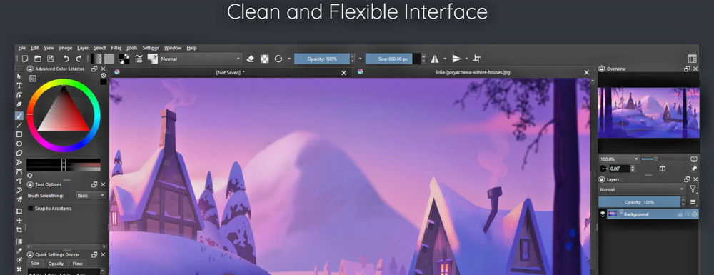 Krita 2025 | Professional Painting Software | Image Editing | DVD-ROM