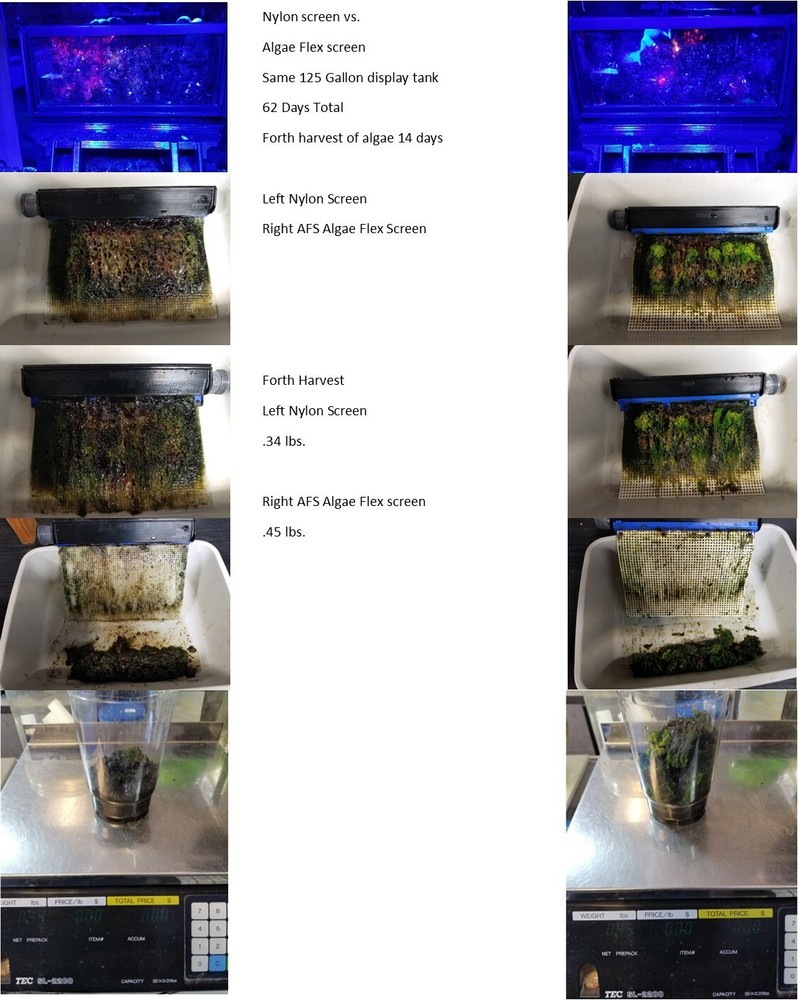 Algae Clean Scrubber Hang on Sump ACS-5-S-G5 with NEW Algae Flex Screen.