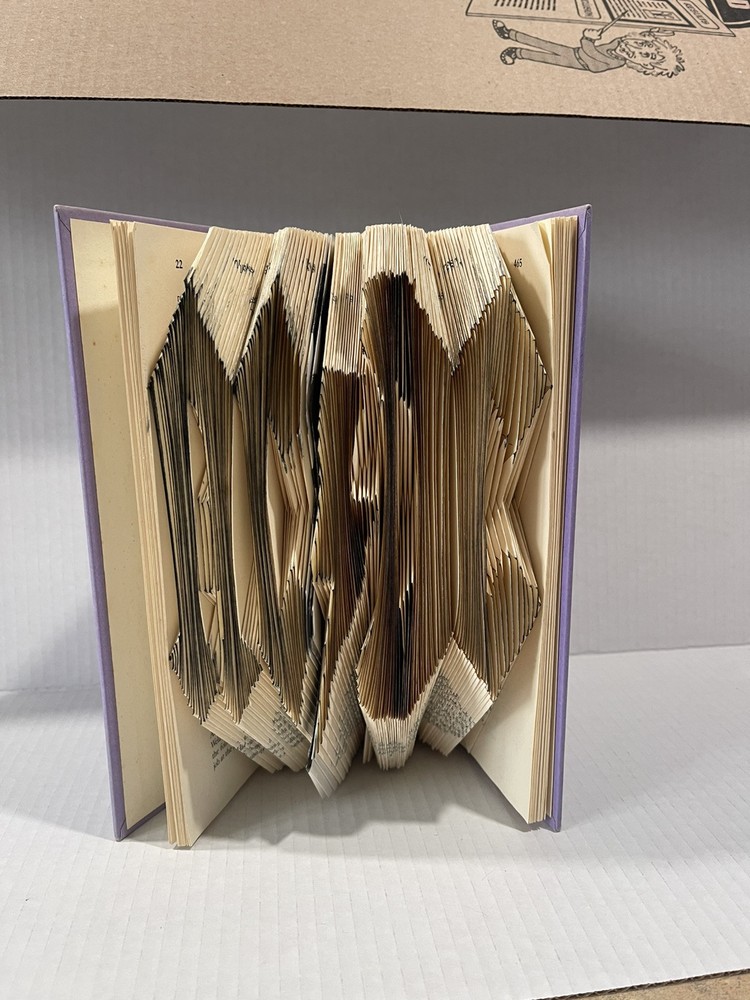 AC DC Book Folded Art