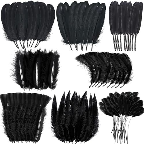 Black Craft Feathers Bulk 8 Styles - 320 PCS Assorted Mixed Natural Feathers