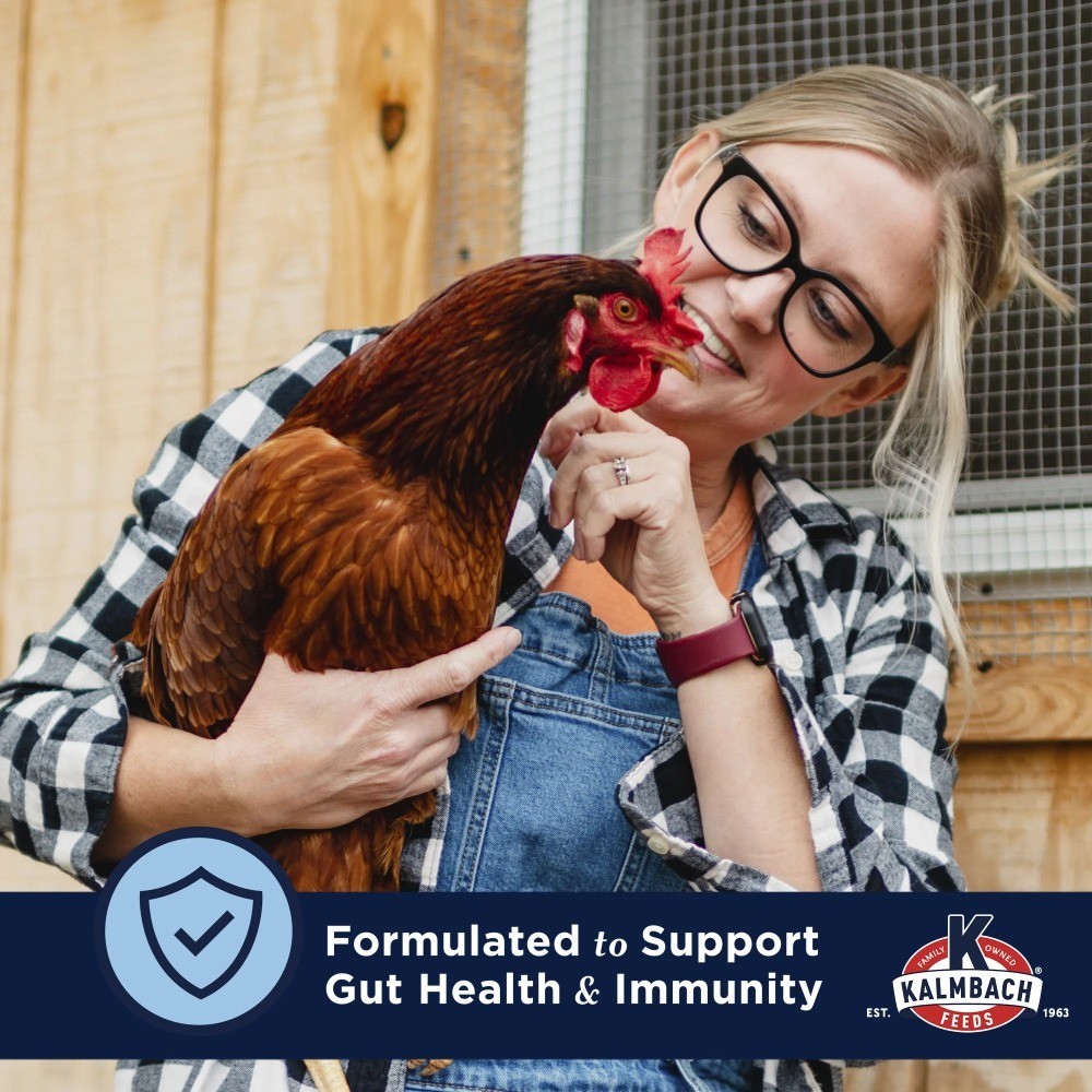 Extraordinary Whole Grain Layer Feed for Chickens, 30 lb