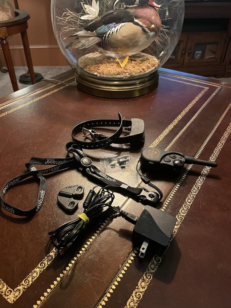 SPORTDOG FIELD TRAINER