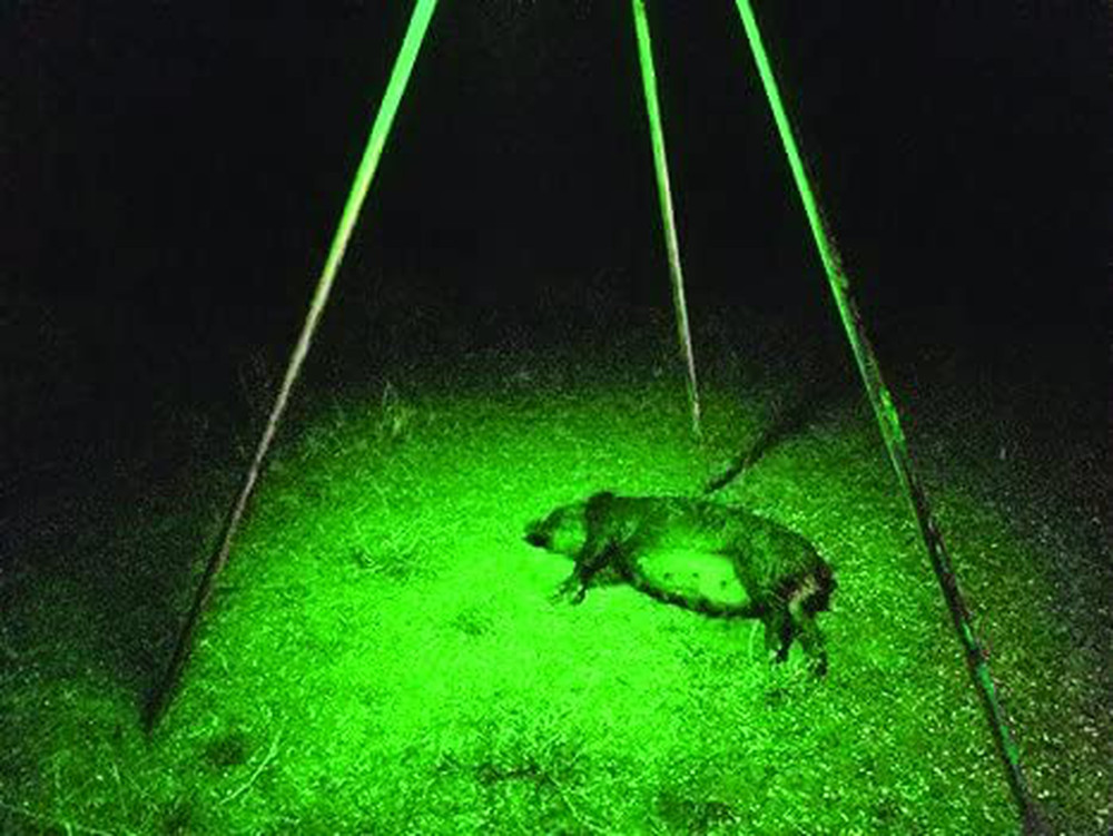 Elusive Wildlife Kill Light Sportsman Motion Activated Feeder Light