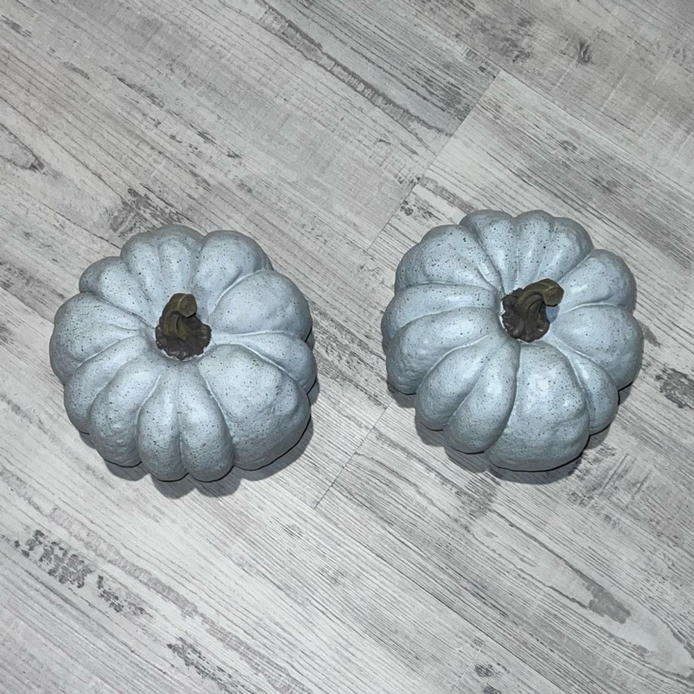 Pair of Gray Pumpkins