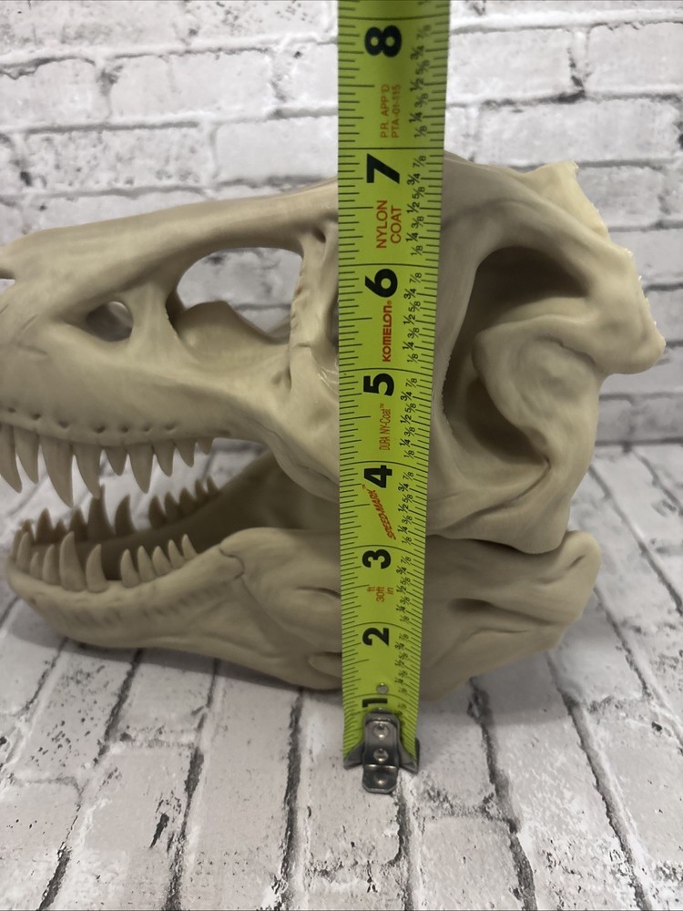 T-Rex 3D printed dinosaur skull large bone colored realistic With Stand Bone PLA
