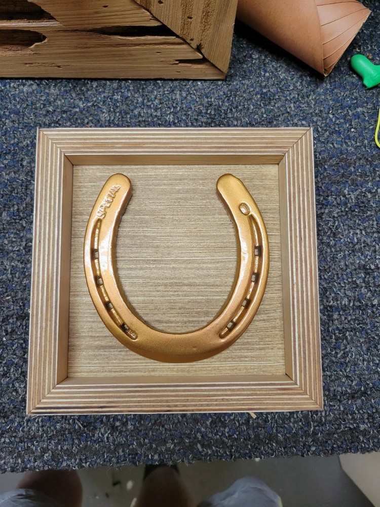 Horse Shoe Art