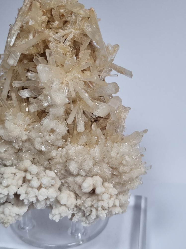 Minerals◇Chalk Australia FREE SHIPPING