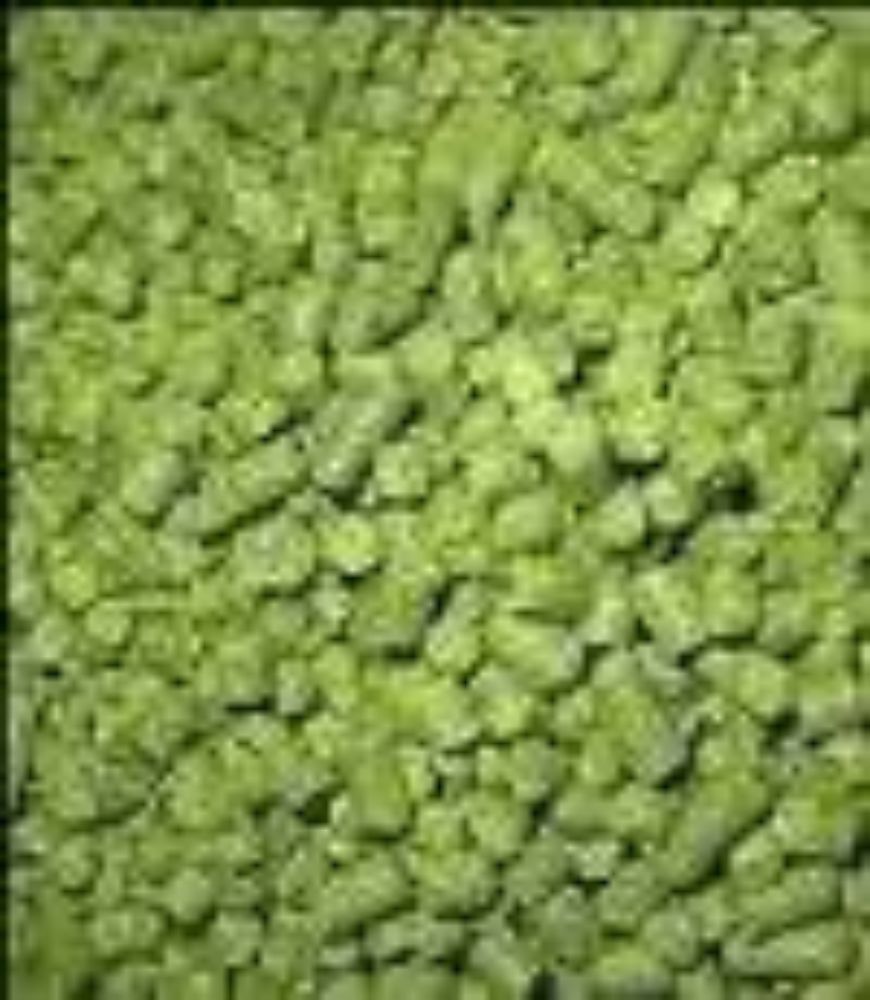 Saaz Hop Pellets 3oz for Home Brew Beer Making