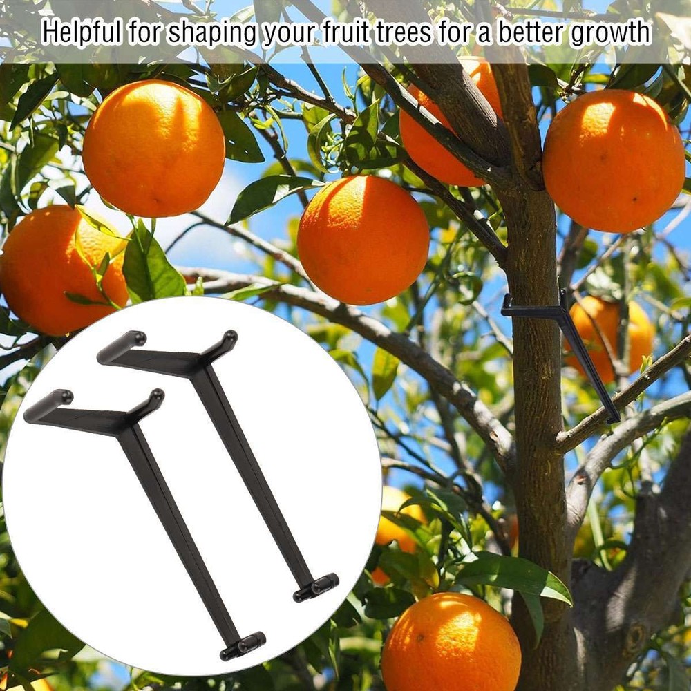 LOT Fruit Tree Branch Limb spreader for Strong Spreading Crotch Angles Branch US