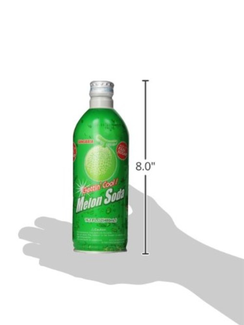 Melon Soda 16.2oz x 24 Pack - Carbonated Soft Drink
