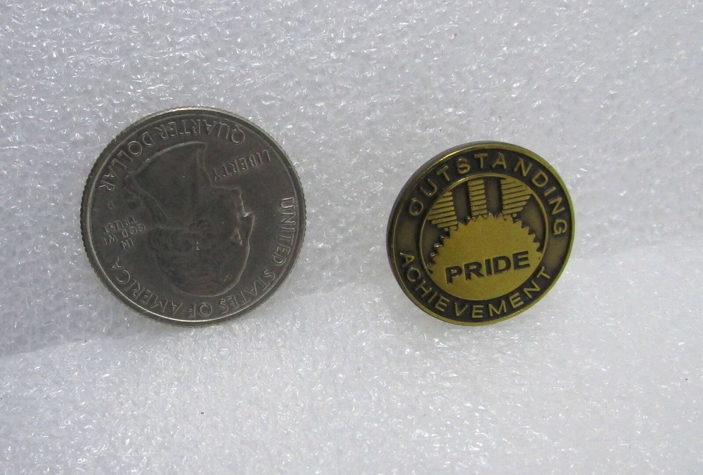 Pride Outstanding Achievement Pin