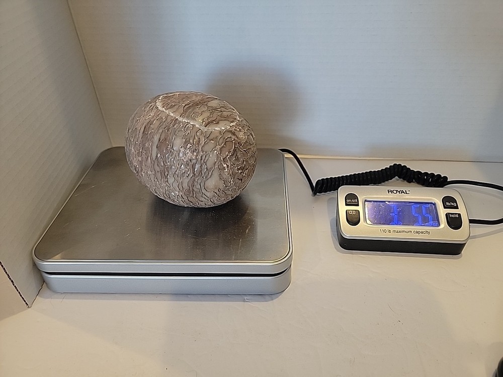 Dinosaur Egg Fossilized Crystallized Fossil VV2