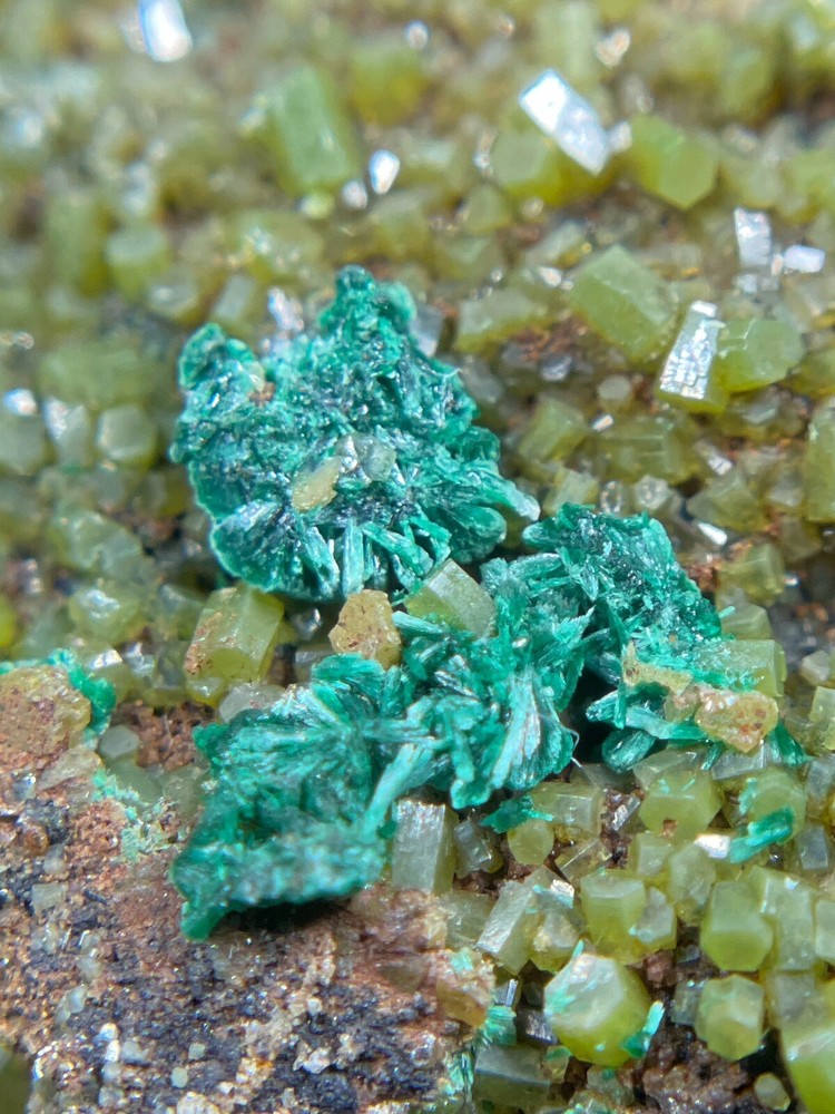 Pyromorphite, Malachite 41x20x11mm. Australia