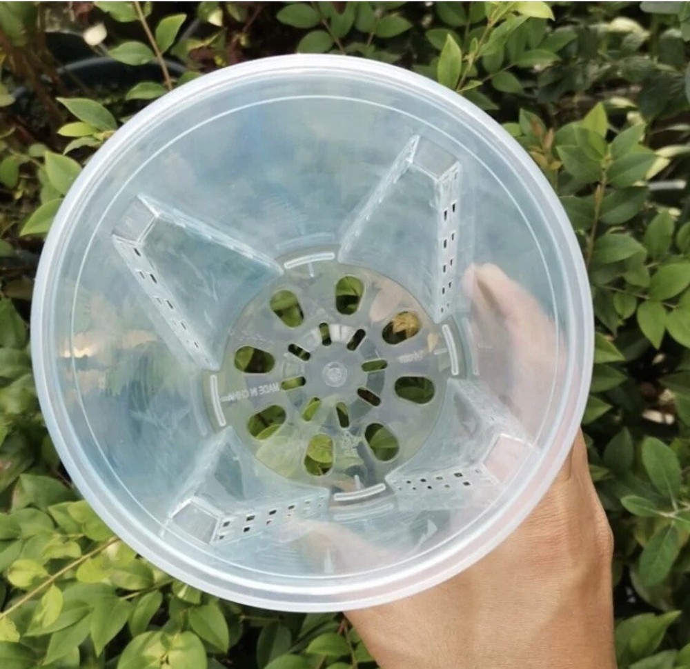 3 - 6” Clear Plastic Planters Tall