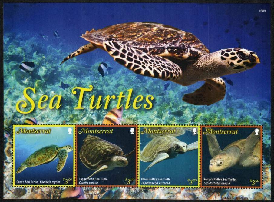 Montserrat Stamp 1386  - Sea Turtles