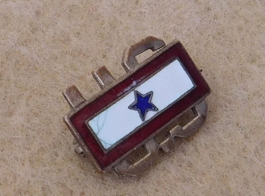 ORIGINAL WWI U.S. SON IN SERVICE PIN