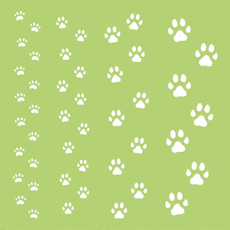 Kaisercraft Designer Template 6"X6" Paw Prints