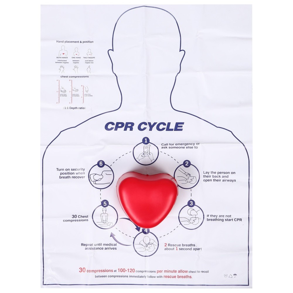 Cardiac Training Model Cpr Compression Practice Kit Tool for Beginners