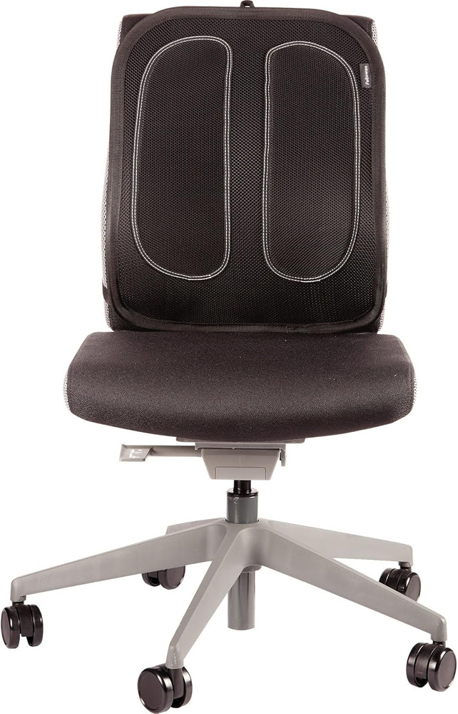 Office Suites Back Support, Graphite (9191301)
