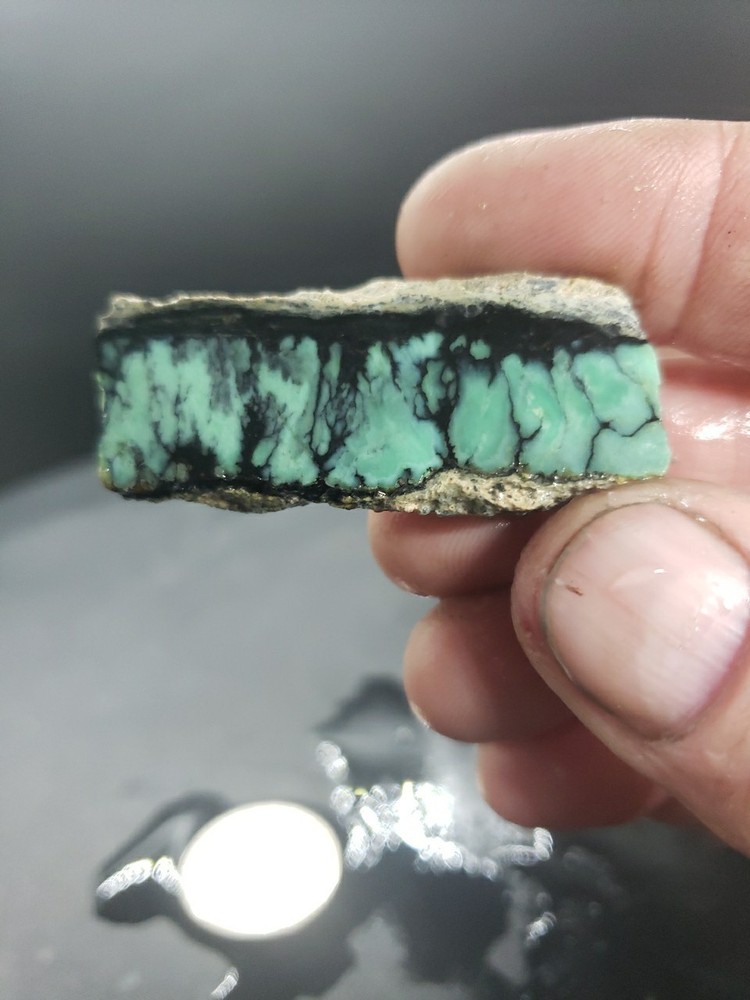 Nevada Saguaro Variscite Slab