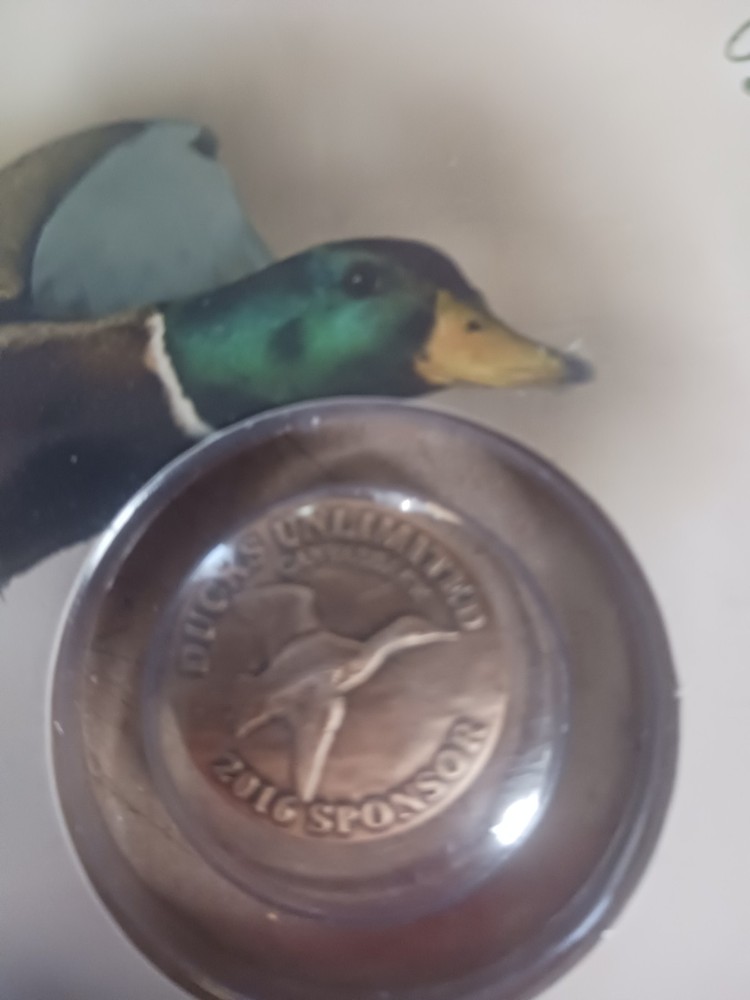 2016 Ducks Unlimited Sponce Pin