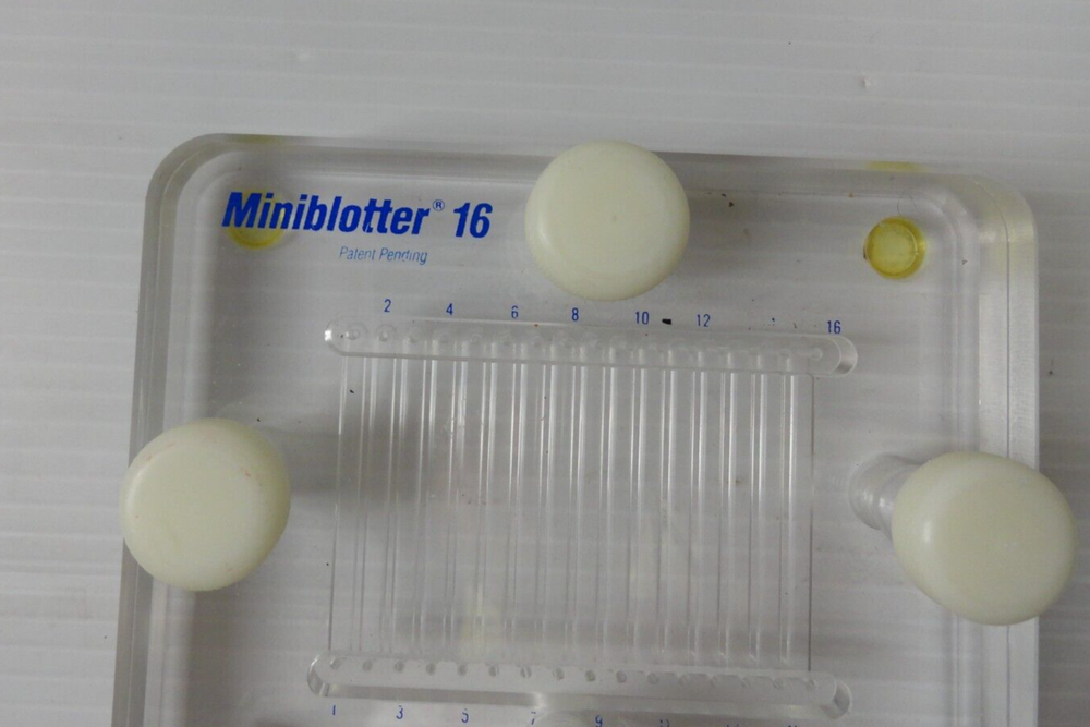 Immunetics Miniblotter 16