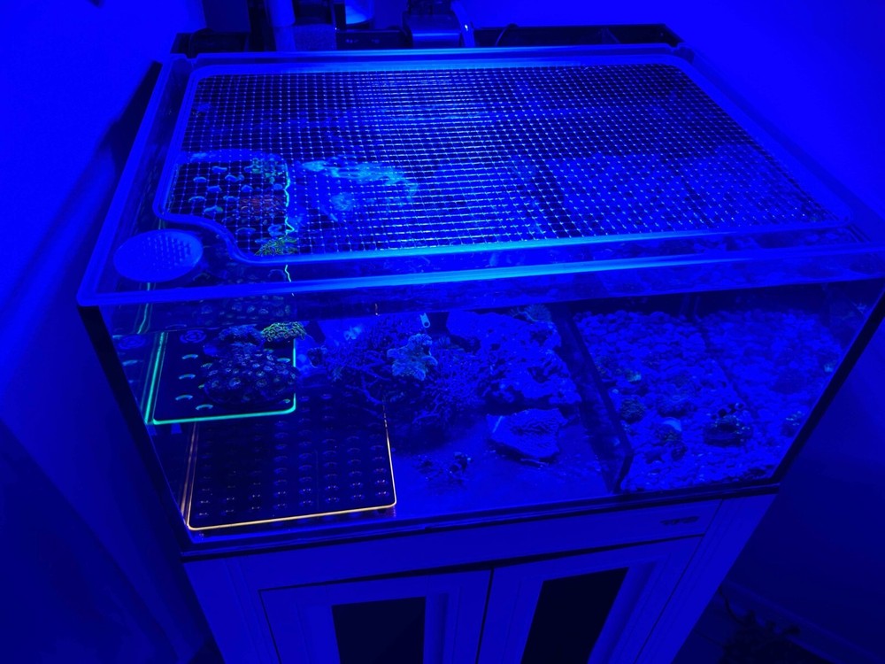 Custom Solid Polycarbonate Clear Aquarium Lid
