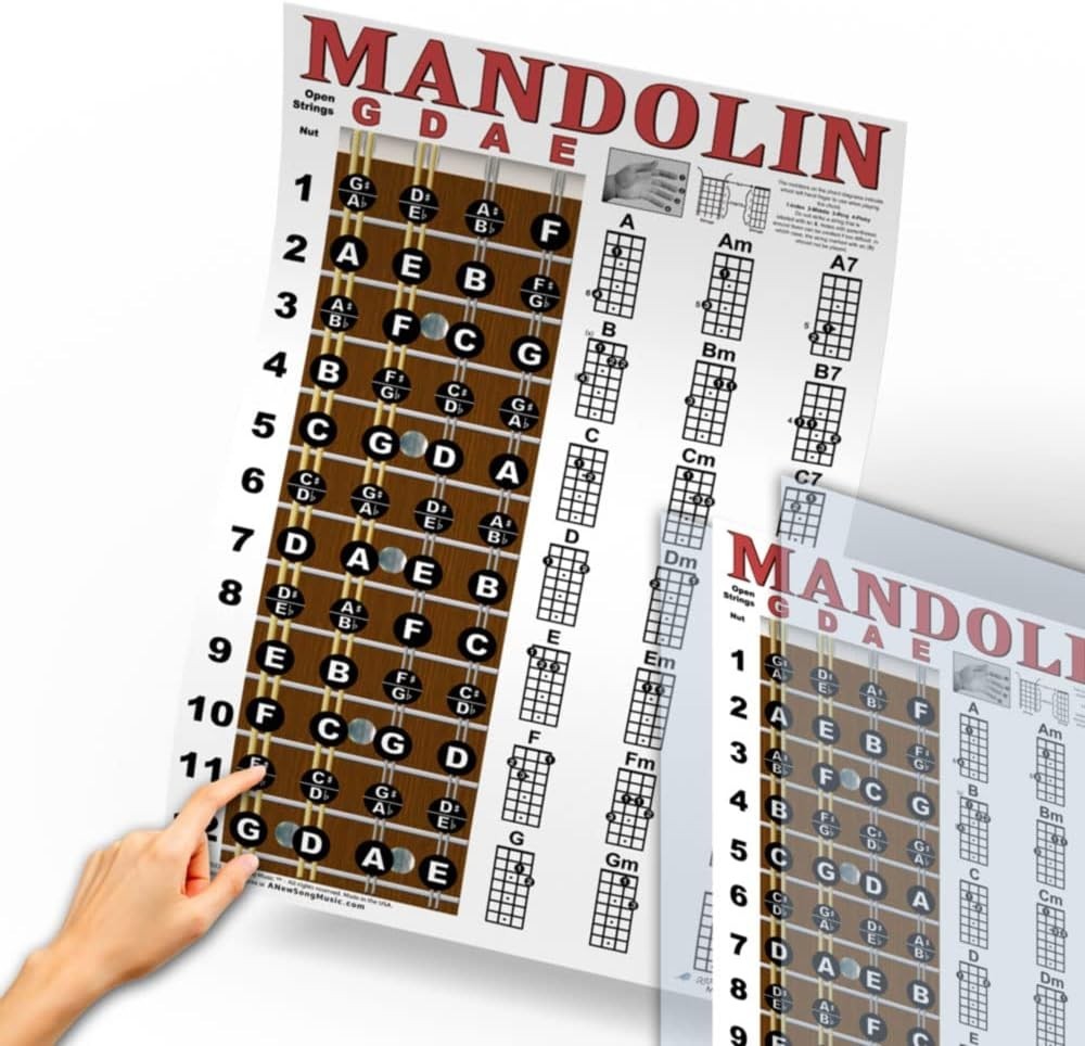 Mandolin Fretboard & Chord Chart - Laminated 11"x17" Reference Poster