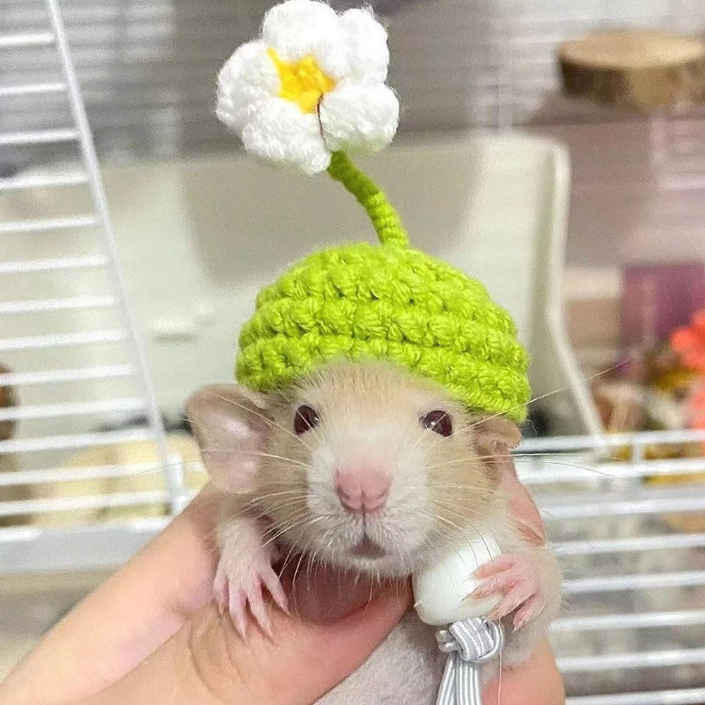2Pcs Cute Tiny Hamster Hat with Adjustable Strap Mini Hand Knitted Hats