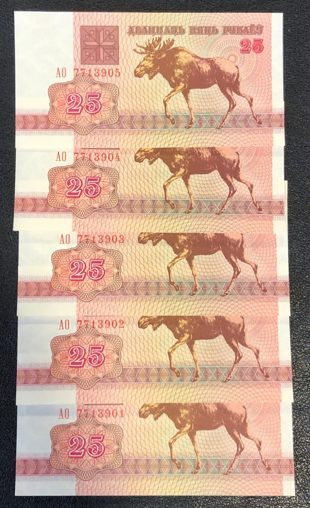 (5)x 1992 Belarus 25 Rubles CONSECUTIVE SERIAL #'s Moose Banknotes Currency UNC!